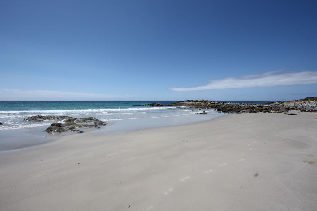 Saltwater - Absolute Oceanfront, Fire Pits, Some Villas With Hot Tubs And Sauna Falmouth Экстерьер фото