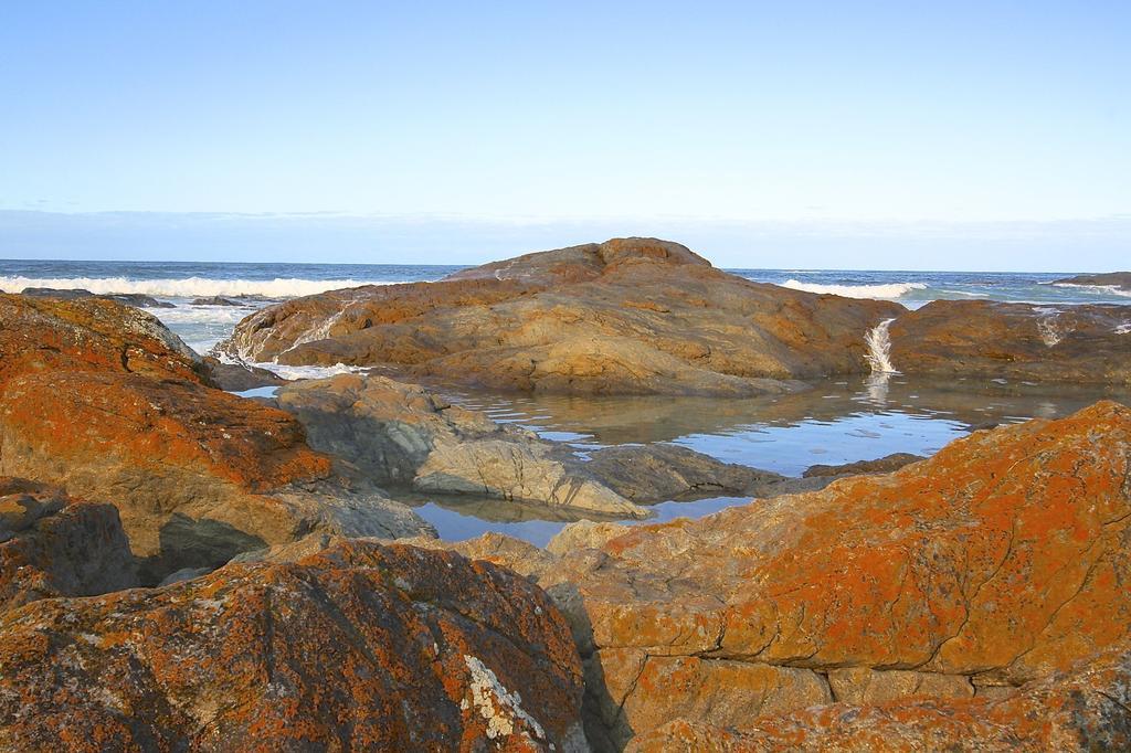 Saltwater - Absolute Oceanfront, Fire Pits, Some Villas With Hot Tubs And Sauna Falmouth Экстерьер фото