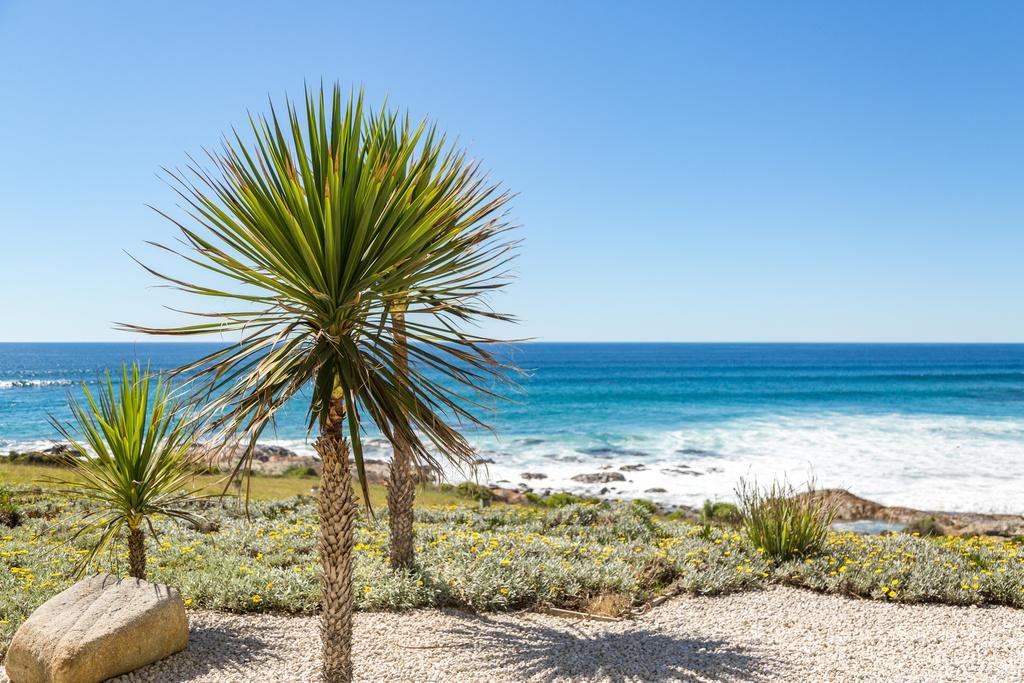 Saltwater - Absolute Oceanfront, Fire Pits, Some Villas With Hot Tubs And Sauna Falmouth Экстерьер фото